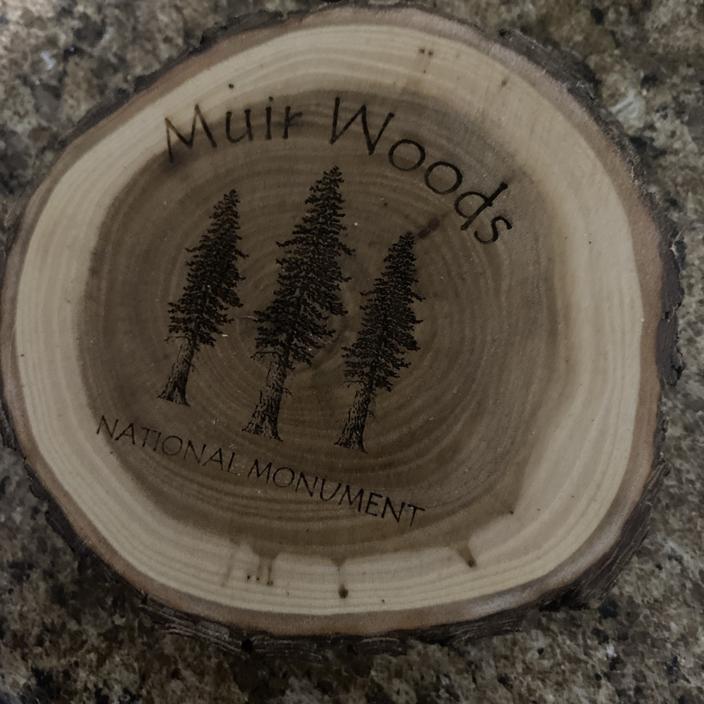 Muir Woods Wooden Coaster